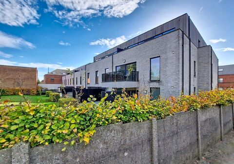 Appartement te huur in Putte Beerzel