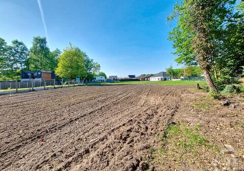 Bouwgrond te koop in Begijnendijk Betekom