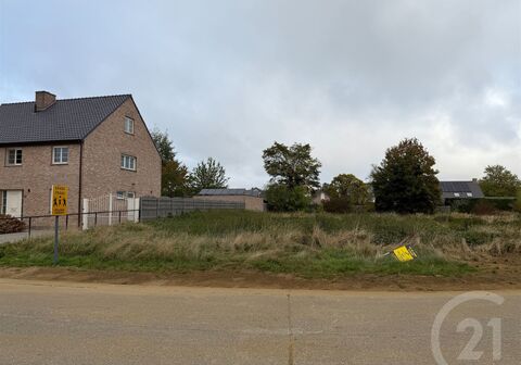 Bouwgrond te koop in Westerlo