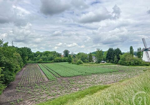 Buitengewoon huis te koop in Aarschot