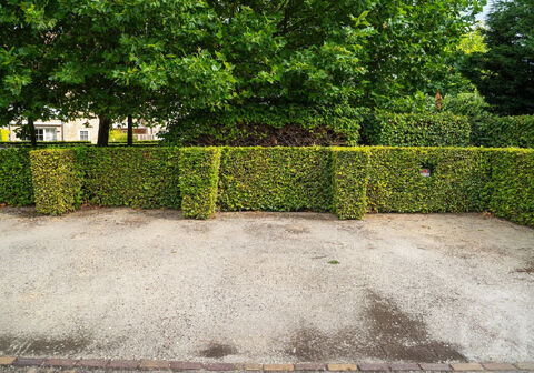 Buitenstaanplaats te huur in Westerlo