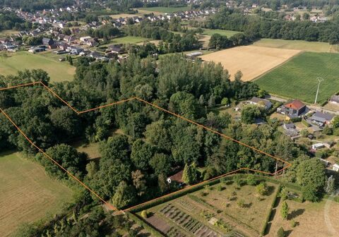 Fermette te koop in Begijnendijk