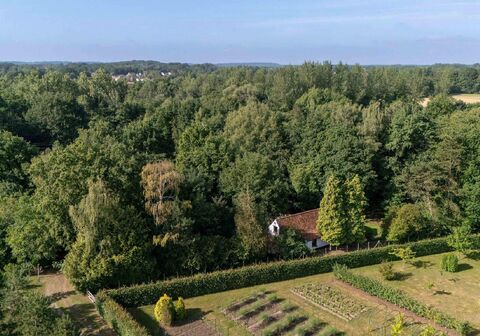 Hoeve te koop in Begijnendijk