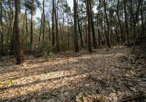 Huis te koop in Aarschot