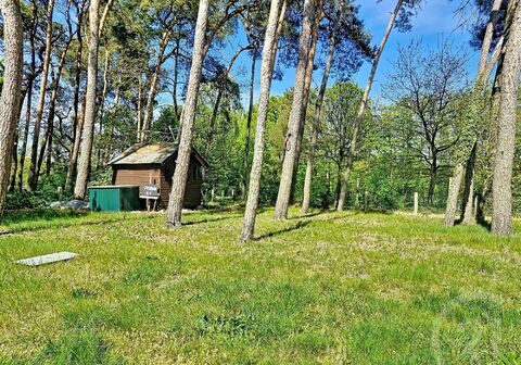 Huis te koop in HAACHT