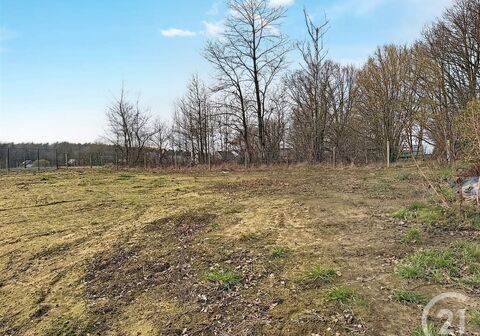 Huis te koop in Scherpenheuvel-Zichem