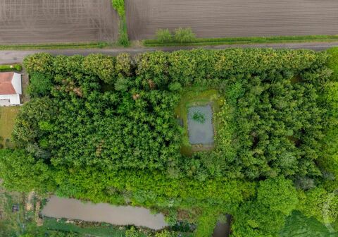 Huis te koop in WESTERLO