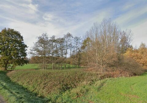 Landbouwgrond te koop in BEGIJNENDIJK