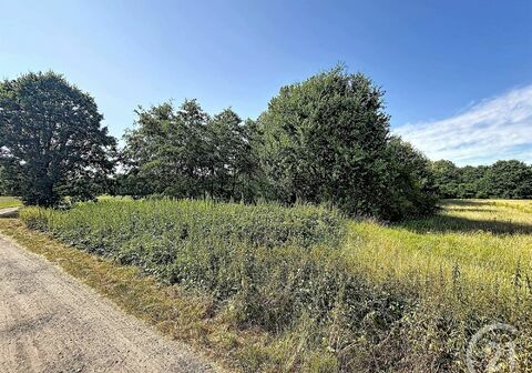Landbouwgrond te koop in BEGIJNENDIJK