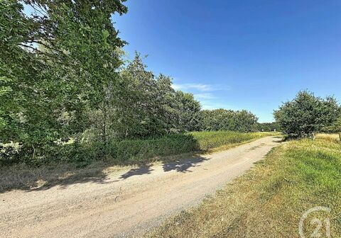 Landbouwgrond te koop in BETEKOM