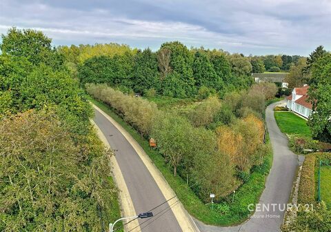 Landbouwgrond te koop in Tremelo