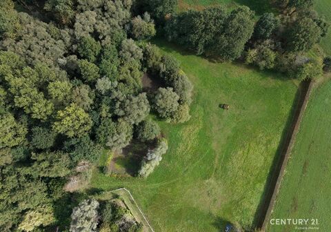Landelijke woning te koop in BONHEIDEN
