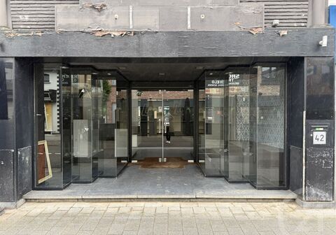 Opbrengsteigendom - Gemengd gebruik residentieel te koop in Tremelo