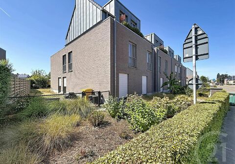 Penthouse te koop in Olen