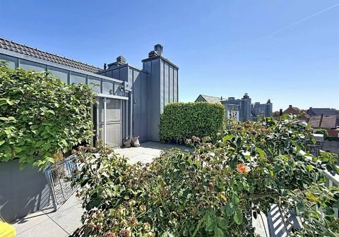 Penthouse te koop in Olen