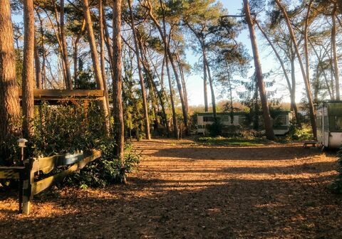 Recreatiegrond te koop in WESTERLO