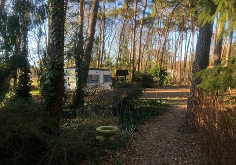 Recreatiegrond te koop in WESTERLO