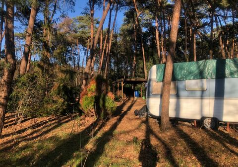 Recreatiegrond te koop in WESTERLO