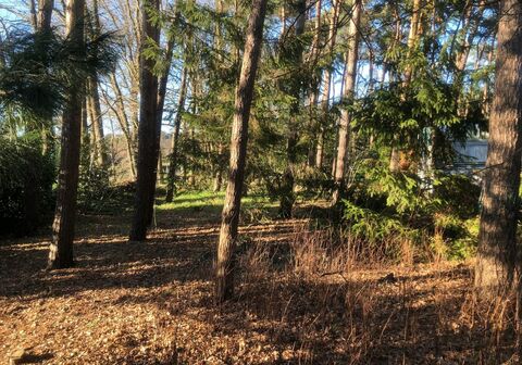 Recreatiegrond te koop in WESTERLO