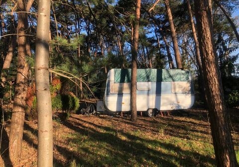 Recreatiegrond te koop in WESTERLO