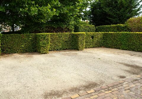 Staanplaats - buiten te huur in Westerlo