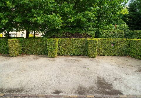 Staanplaats - buiten te huur in Westerlo