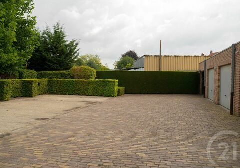 Staanplaats - buiten te huur in Westerlo