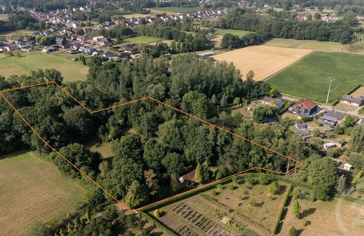 Hoeve te koop in Begijnendijk